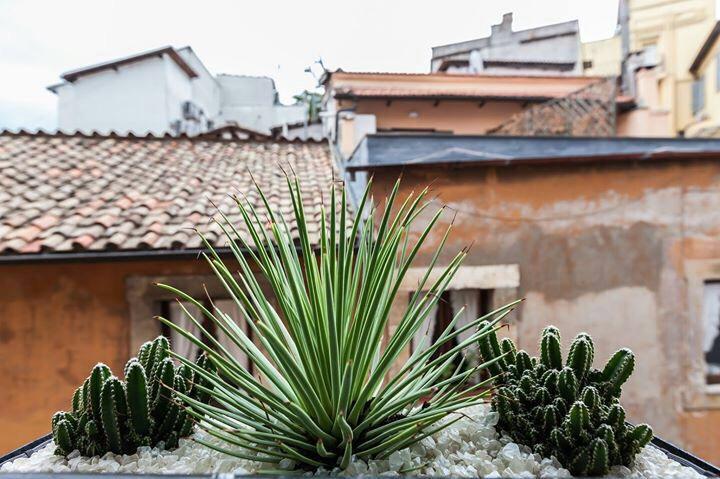 Navona Penthouse Apartamento Roma